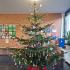 Allen eine schöne Adventszeit